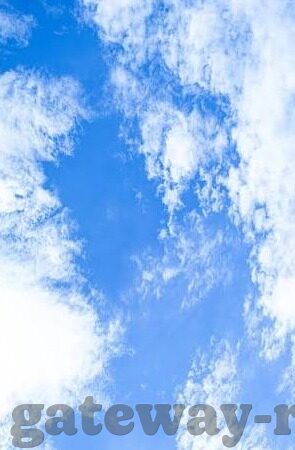 巴西世界杯网页游戏-巴西世界杯网页游戏，点燃足球激情的虚拟赛场